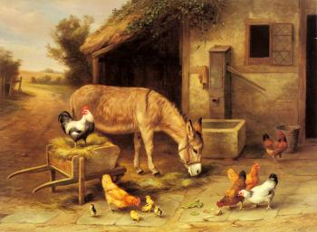A Donkey And Chickens Outside A Stable